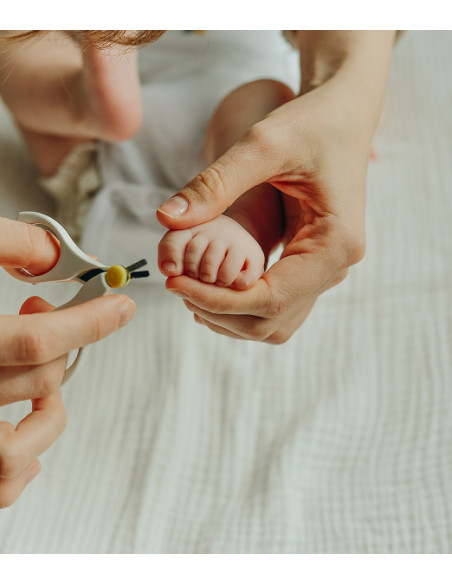 POSTPARTO. Apoyo y cuidados