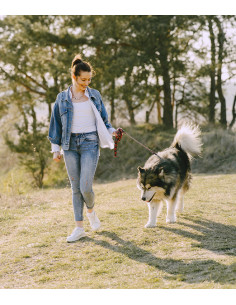 Cuidado y paseo de mascotas