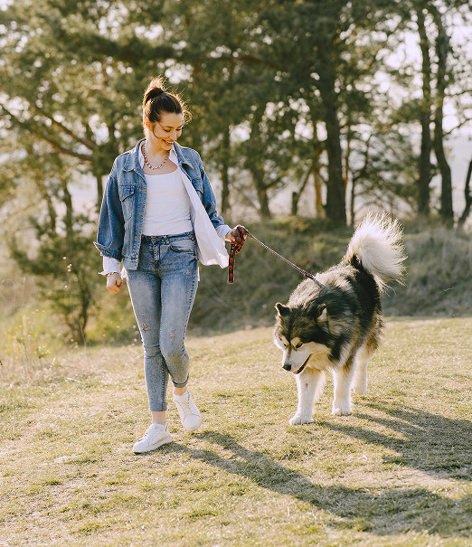 Cuidado y paseo de mascotas